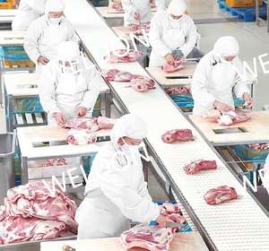 Weldon Food Grade Transportband Voor Verwerkte Slagerindustrie Modulaire Plastic Riem - Product Image 3