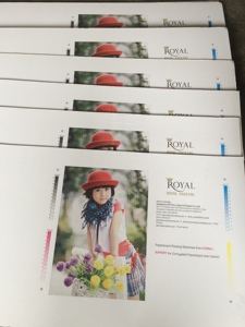 Máy in Bán máy in máy in tự động - Product Image 6