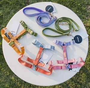 Gebreide, multicolor regenboog hondenharnas en riemset van katoen, gepersonaliseerd, anti-trek, met breakaway-functie voor honden en katten - Product Image 5