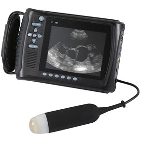 Escáner de Ultrasonido Veterinario Portátil Compacto para Imágenes Abdominales y Cardíacas de Animales Pequeños - Product Image 2