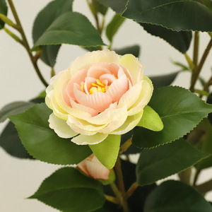 Arbres <span class=keywords><strong>de</strong></span> camélia artificiels en <span class=keywords><strong>pot</strong></span> pour la décoration intérieure/extérieure et l'aménagement paysager, plantes décoratives artificielles - Product Image 4