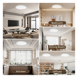 Plafonnier encastré de 12 pouces, champagne, 20W, 5 températures de couleur en une seule lampe LED ronde à montage en surface pour chambre à coucher, cuisine - Product Image 6