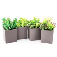 4 stili simulati pianta succulenta ceramica ceramica Bonsai regalo verde per la decorazione del Desktop da ufficio al coperto