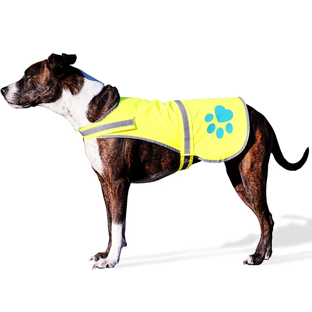 Commercio all'ingrosso di prodotti riflettenti di sicurezza del cane giacca <span class=keywords><strong>maglia</strong></span> dell'animale domestico