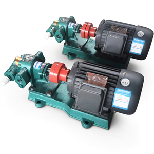 Hydraulic Gear Pump Cast <b>Iron</b> with Electric Motor Coupling Unit for Hydraulic System - Product Image 2