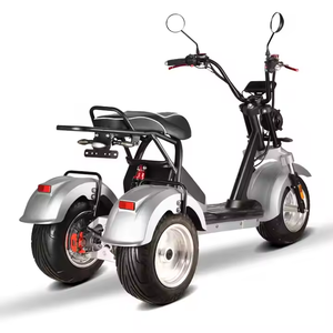 Tricycle <span class=keywords><strong>à</strong></span> 3 roues Loyal, double <span class=keywords><strong>moteur</strong></span>, batteries au lithium amovibles, scooter électrique <span class=keywords><strong>à</strong></span> 3 roues, <span class=keywords><strong>trike</strong></span> <span class=keywords><strong>à</strong></span> 3 roues - Product Image 1
