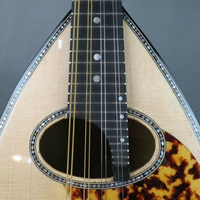 HUASHENG Popular Mandolin Instrument OEM ODM Oud Musical Instrument for Beginner Professional