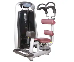 최신 전문 운동 제품/로타리 몸통 체육관 장비