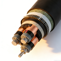 Cable Distribuidor de Media Tensión 750 Mcm 3 5 AWG 5kV Aislamiento XLPE 1Care 3 Hilos Cable de Alimentación