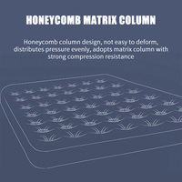 Matelas Gonflable de Lit d'Appoint Taille Queen avec Pompe Électrique Intégrée