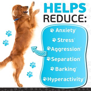 OEM Formula Only Natural Pet Relax Calming Support Soft Chews <span class=keywords><strong>pour</strong></span> chiens Soutien comportemental et favorise la relaxation et le confort - Product Image 2