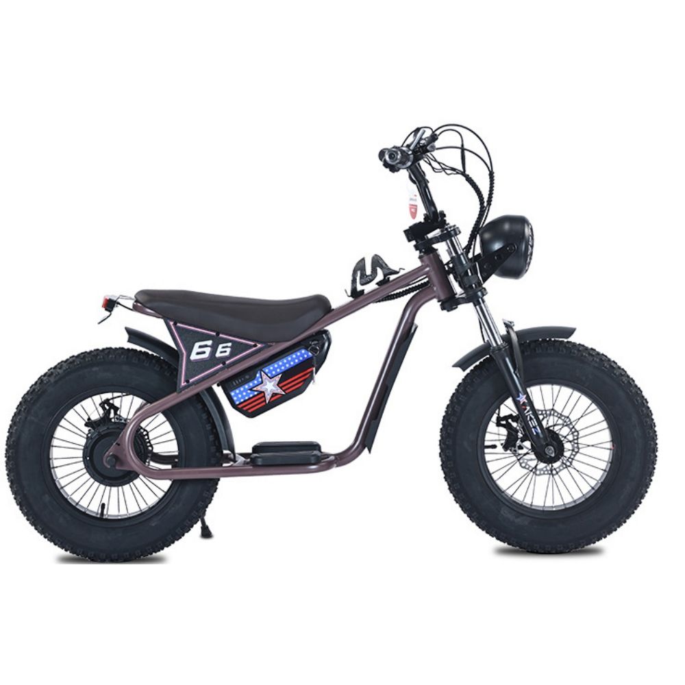 Old Youth E Bike Tuttio ARC-I Kids Electric Bike-Best Gifts For