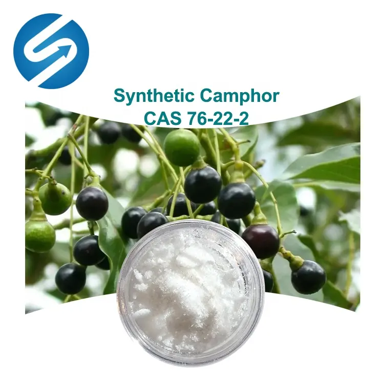 Synthetic Camphor Synthetic Camphor Synthetic Camphor Powder CAS 76-22-2 CAS No.76-22-2 CAS 76222