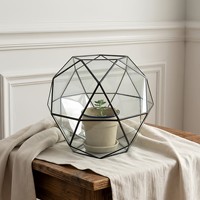 Vas Tanaman Sukulen Mini Terarium Kaca Geometris Wadah Lanskap Mikro Grosir Pesanan Campuran Dekorasi Meja Rumah