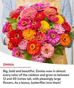 خليط زهور برية للحدائق المنزلية سهل النمو وغير معدل وراثيًا سريع الإزهار، تشكيلة من 14 نوعًا في كيس واحد، يمكن استخدامه مع الزهور الاصطناعية - Product Image 2