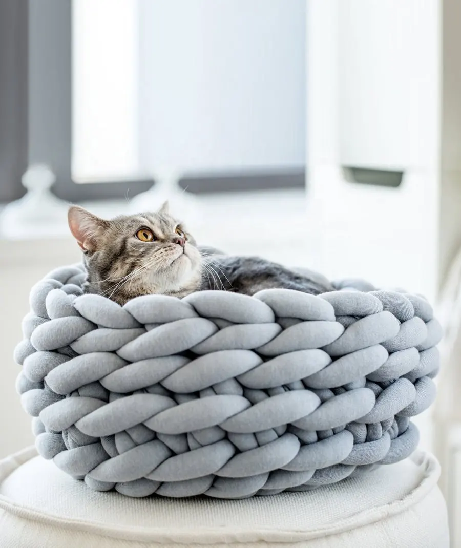 2021 venda quente no Instagram criativo trançado de vime tecida populares rodada lavável cama do cão do animal de estimação gato camas casa soft longo de pelúcia