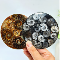 Décoration d'intérieur bohème, plaque d'ammonite noire, pierre de guérison Reiki, cadeau géologique, disque d'ammonite avec support