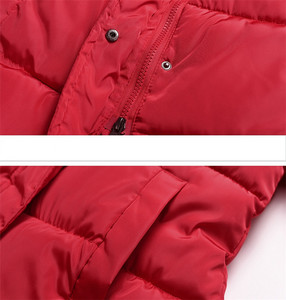 2020 hiver nouvelle version coréenne des vestes longues et moyennes à grand col en fourrure en coton épais pour femmes - Product Image 3