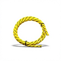 Speed SPD-WL1100 Hochempfindliches 5mm Nicht-ortierendes 2-Pin IP TCP Wasserleckage-Erkennungssensor-Kabel mit Stecker 500M