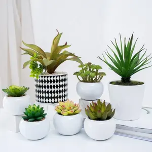 Faux Succulente Piante con rotondo bianco di ceramica planter per la decorazione domestica