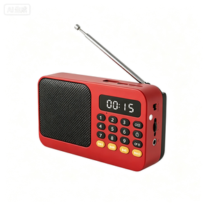 Yaşlılar için Taşınabilir FM Kartlı Radyo, El Feneri, Dijital Ekran, Şarj Edilebilir Pil - Dış Mekan Kullanımı ve Gurbani Radyosu - Product Image 3