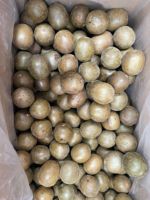 Hete Aanbieding Gedroogde Gehele Monniksvrucht (Momordica Grosvenori) Bloeiende Thee AA Kwaliteit Natuurlijke Zoete Gezondheidsthee Kruidenthee Groothandel