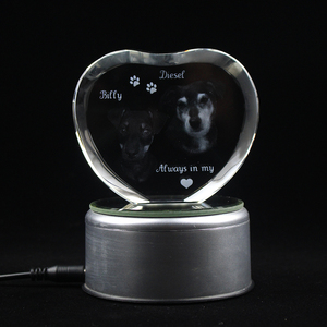 Aby hower ifts u otros iests rynel Eart 3D, ngraved ustom - Product Image 6