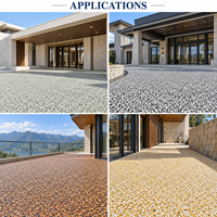 Revêtement durable en résine polyuréthane non jaunissant, pavés de galets naturels lavés pour les allées et trottoirs extérieurs des parcs