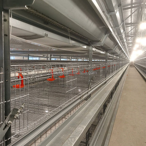 10000-20000 Chicken A H type Layer Hen Egg Galvanized Cage 4 Tiers 3 Layers <b>Ladder</b> Battery Cage - Product Image 4