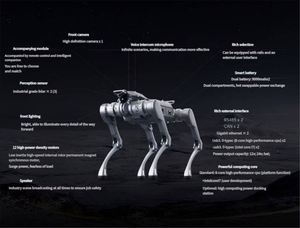 <b>Smart</b> Heavy-Duty Unitree A2 Industrial Robotic Dog with Emergency Stop for Factory Monitoring & Outdoor Technical Operations - Product Image 5