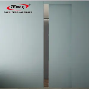 TEMAX pintu kabinet geser tersembunyi sistem pintu geser pintu rahasia siram