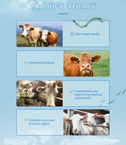 Additifs alimentaires pour bétail mouton et lapins dans l'œstrus utilisation vétérinaire engrais et additifs alimentaires pour leurres produits de santé animale