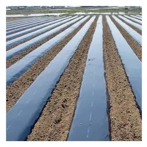 OEM UV Resistance Maintain Soil Moisture Silver Black PE Mulching Film Layer