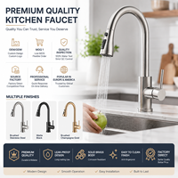Robinet de cuisine professionnel en acier inoxydable brossé avec douchette extractible et mitigeur monocommande