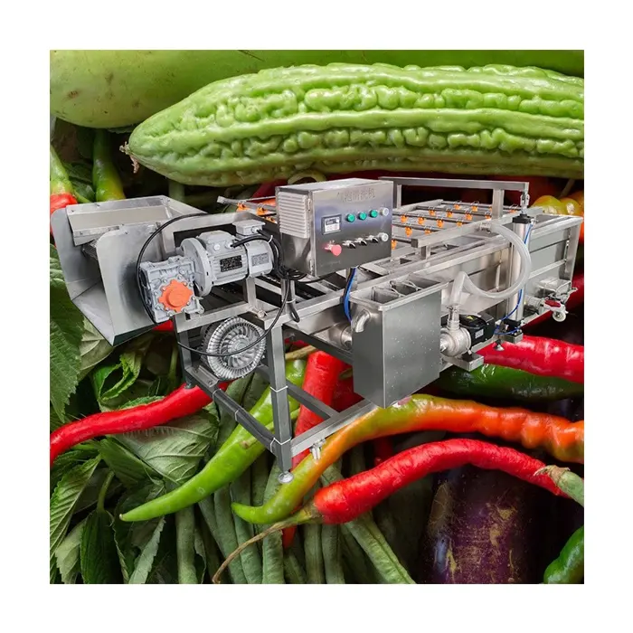 Mesin cuci sayuran, petikan siput daun hijau, pisang cabai, gelembung udara, konveyor, Mesin cuci sayuran