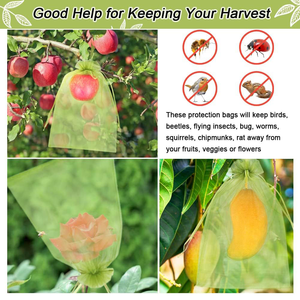 Extra <strong>Large</strong> 100 Pcs White Green Fruits Vegetables Protection Anti Insect <strong>Organza</strong> Mesh Drawstring Netting Cover Pouch <strong>Bag</strong> - Product Image 4