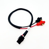 Rangkaian Kabel Baterai Kustom dengan Konektor 2 Pin Terminal Merah Hitam Kabel Daya