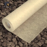 Géotextile industriel non tissé en plastique PP haute résistance 100g-800g Filtration Séparation Drainage