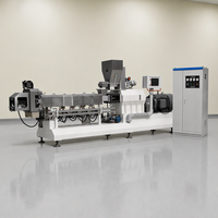 2D 3D Pellet Puff Snack Voedselproductie Extrusiemachine RVS Industriële Kwaliteit Knapperige Snacks Verwerkingsapparatuur