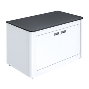 خزانة متحركة حديثة من الفولاذ المقاوم للصدأ 304 من TMOON، خزانة مقوسة بباب واحد للمختبرات والمستشفيات وورش العمل والمدارس - Product Image 3