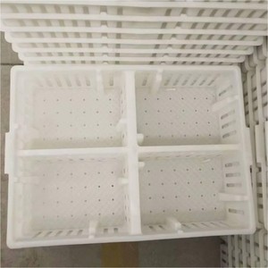 กรงขนส่งลูกไก่พลาสติกสำหรับลูกไก่เลี้ยงวันแรก - Product Image 5