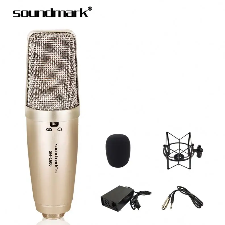 Микрофон для записи музыки, микрофон для студийного оборудования