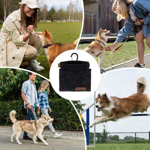 Échantillon gratuit Sac à friandises pour chien portable à clipser Contenant de friandises pour l'entraînement des chiens de qualité alimentaire Sans BPA Pochette à friandises pour chien en silicone - Product Image 5