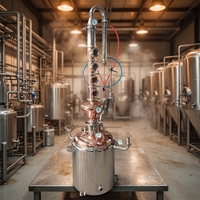 Distillateur à double paroi en pot de cuivre 100L-Distillateur d'alcool
