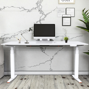 ZGO <span class=keywords><strong>Vente</strong></span> directe depuis l'entrepôt américain Bureau debout ergonomique personnalisé de haute qualité pour le travail de bureau Poste de travail pour le personnel - Product Image 1