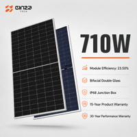Module photovoltaïque grand format N-Type bifacial double vitrage 132 demi-cellules 710W pour système solaire à grande échelle