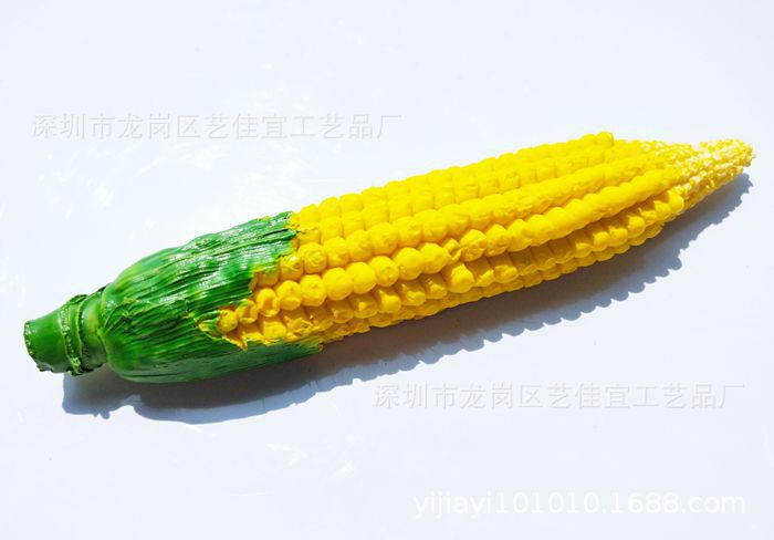 Maïs de taille moyenne