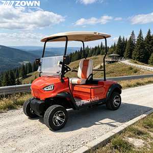 Voiturette de golf électrique à 4 roues personnalisable avec logo couleur, idéale pour clubs, parcs et communautés, service de fabrication OEM disponible - Product Image 1