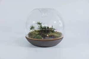 Matériau <span class=keywords><strong>en</strong></span> <span class=keywords><strong>verre</strong></span> et couleur claire plante d'intérieur géométrique <span class=keywords><strong>terrarium</strong></span> <span class=keywords><strong>en</strong></span> <span class=keywords><strong>verre</strong></span> <span class=keywords><strong>bouteille</strong></span> <span class=keywords><strong>en</strong></span> <span class=keywords><strong>verre</strong></span> Biodome Rainforest <span class=keywords><strong>Terrarium</strong></span> - Product Image 4