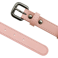 Collier pour animaux de compagnie en PU avec logo personnalisé, compatible avec AirTag, anti-perte, suivi GPS, collier ajustable pour chats et chiens, toutes saisons